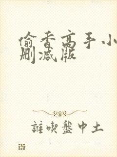 偷香高手小说无删减版