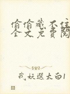 偷偷藏不住小说全文免费阅读无删减