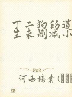 丁二狗的逍遥人生未删减小说