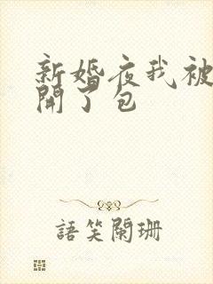 新婚夜我被伴郎开了包封面