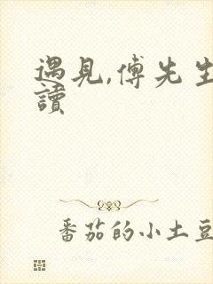 遇见,傅先生阅读