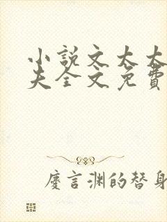 小说文太太的前夫全文免费阅读