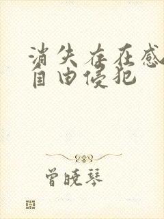 消失存在感消失自由侵犯