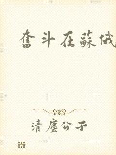 奋斗在苏俄