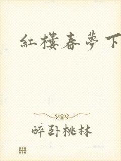 红楼春梦下载