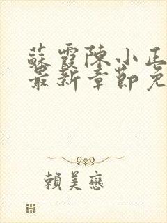 苏霞陈小正小说最新章节免费阅读