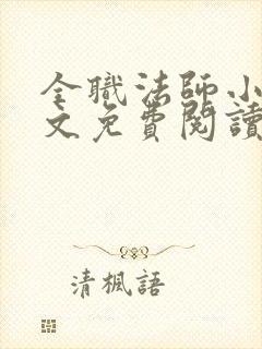 全职法师小说全文免费阅读无弹窗