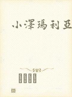 小泽玛利亚作品封面