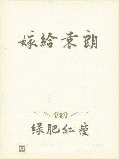 嫁给袁朗