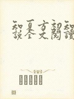 知夏方初知夏小说全文阅读