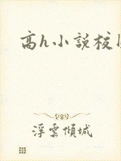 高h小说校园封面