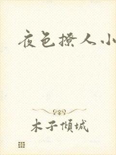 夜色撩人小说