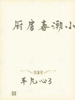 厨房春潮小说