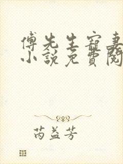 傅先生宠妻无度小说免费阅读