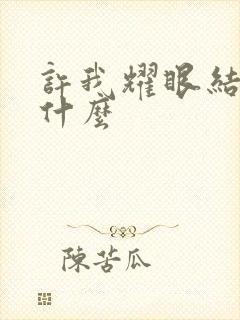 许我耀眼结局是什么
