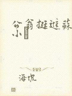 公翁挺进苏玥的小泬封面