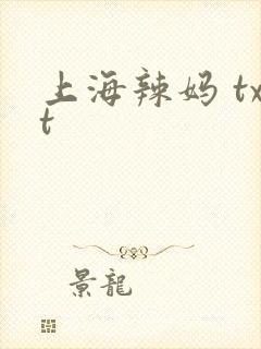 上海辣妈 txt