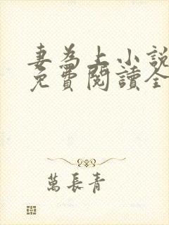 妻为上小说全文免费阅读全文