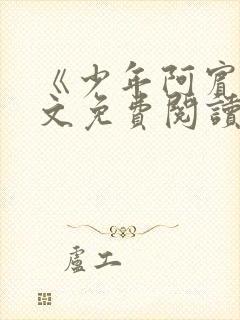 《少年阿宾》全文免费阅读封面