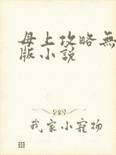 母上攻略无删减版小说