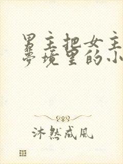 男主把女主拖进梦境里的小说