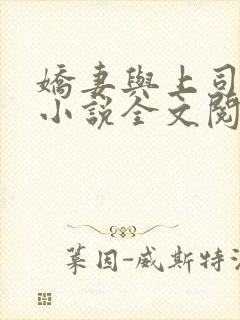 娇妻与上司韩燕小说全文阅读免费