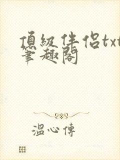 顶级伴侣txt笔趣阁