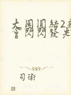 大团圆结2亲情会闪闪发光亲情会封面