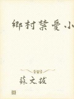 乡村禁爱小说