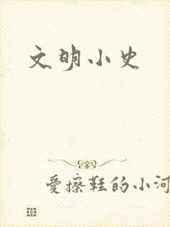 文明小史