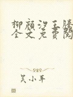 柳颜汐王腾小说全文免费阅读