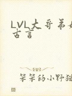 LVL大哥弟媳古言