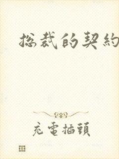 总裁的契约妻封面