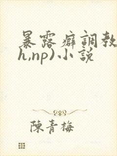 暴露癖调教(高h,np)小说封面