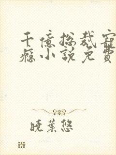 千亿总裁宠妻上瘾小说免费封面