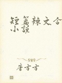 短篇辣文合集 小说