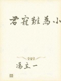 君宠难为小说