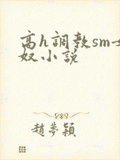 高h调教sm女奴小说封面