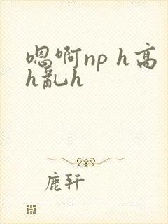 嗯啊np h高h乱h