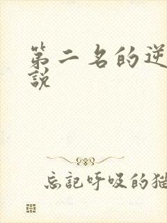 第二名的逆袭小说