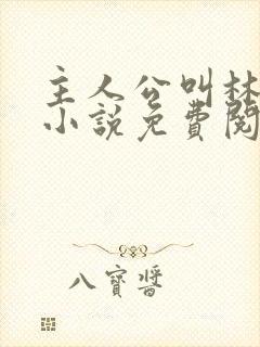 主人公叫林辰的小说免费阅读
