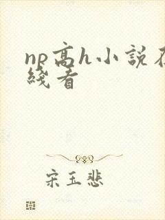 np高h小说在线看