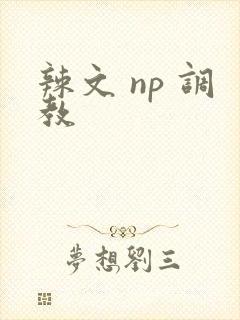 辣文 np 调教封面