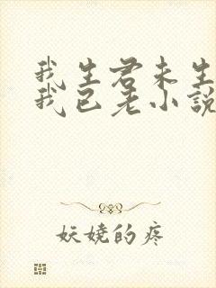 我生君未生君生我已老小说