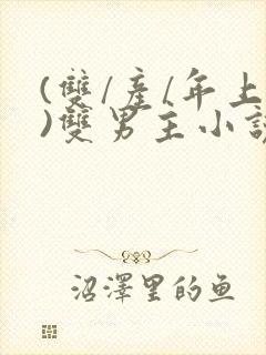 (双/产/年上)双男主小说
