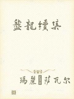 盘龙续集