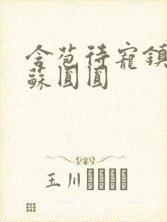 含苞待宠镇国公苏圆圆