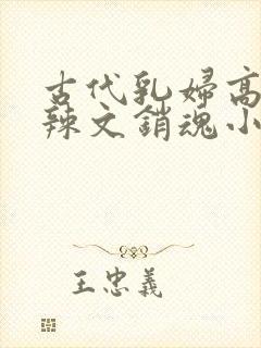 古代乳妇高h肉辣文销魂小妾