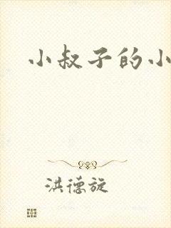 小叔子的小说