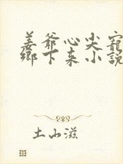 姜爷心尖宠她从乡下来小说免费阅读
